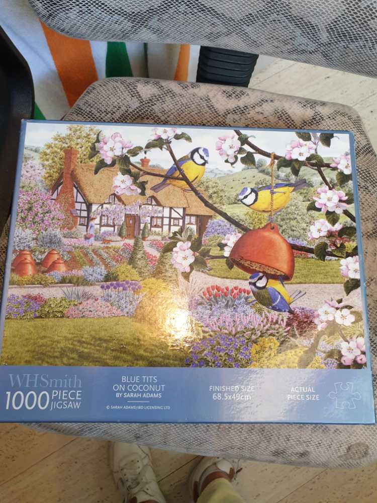 Dog Days Of Summer BAC