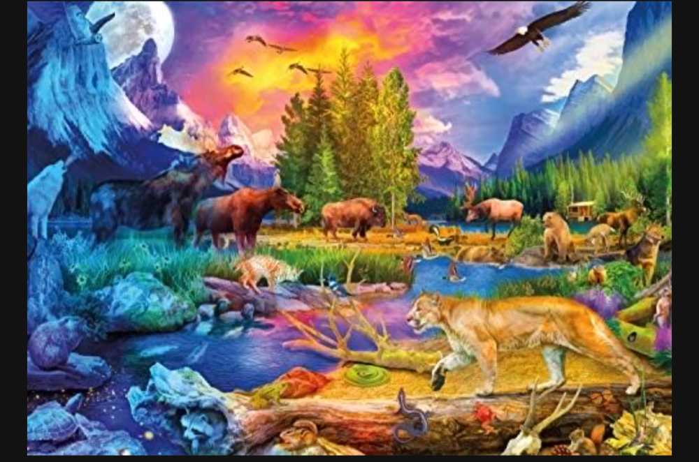 Wild North, The - Buffalo puzzle collectible [Barcode 079346037964] - Main Image 2