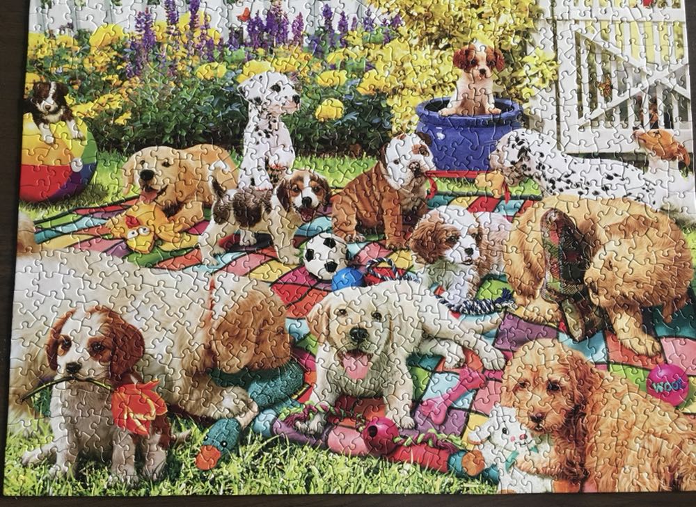 Puppy Playground - Buffalo puzzle collectible [Barcode 079346173327] - Main Image 2