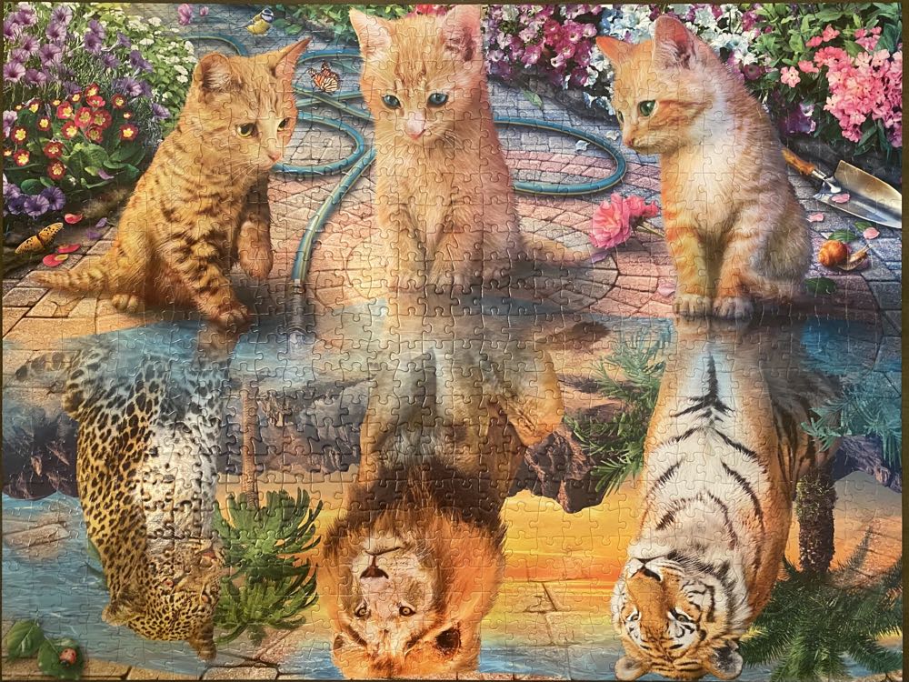 Kitten Dreams - Buffalo Cats puzzle collectible [Barcode 079346172764] - Main Image 3