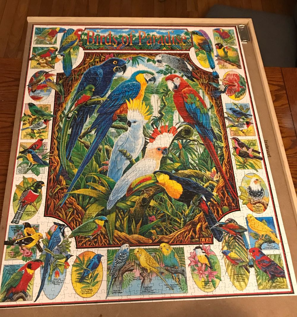 Birds Of Paradise - White Mountain Puzzles puzzle collectible [Barcode 724819247943] - Main Image 2