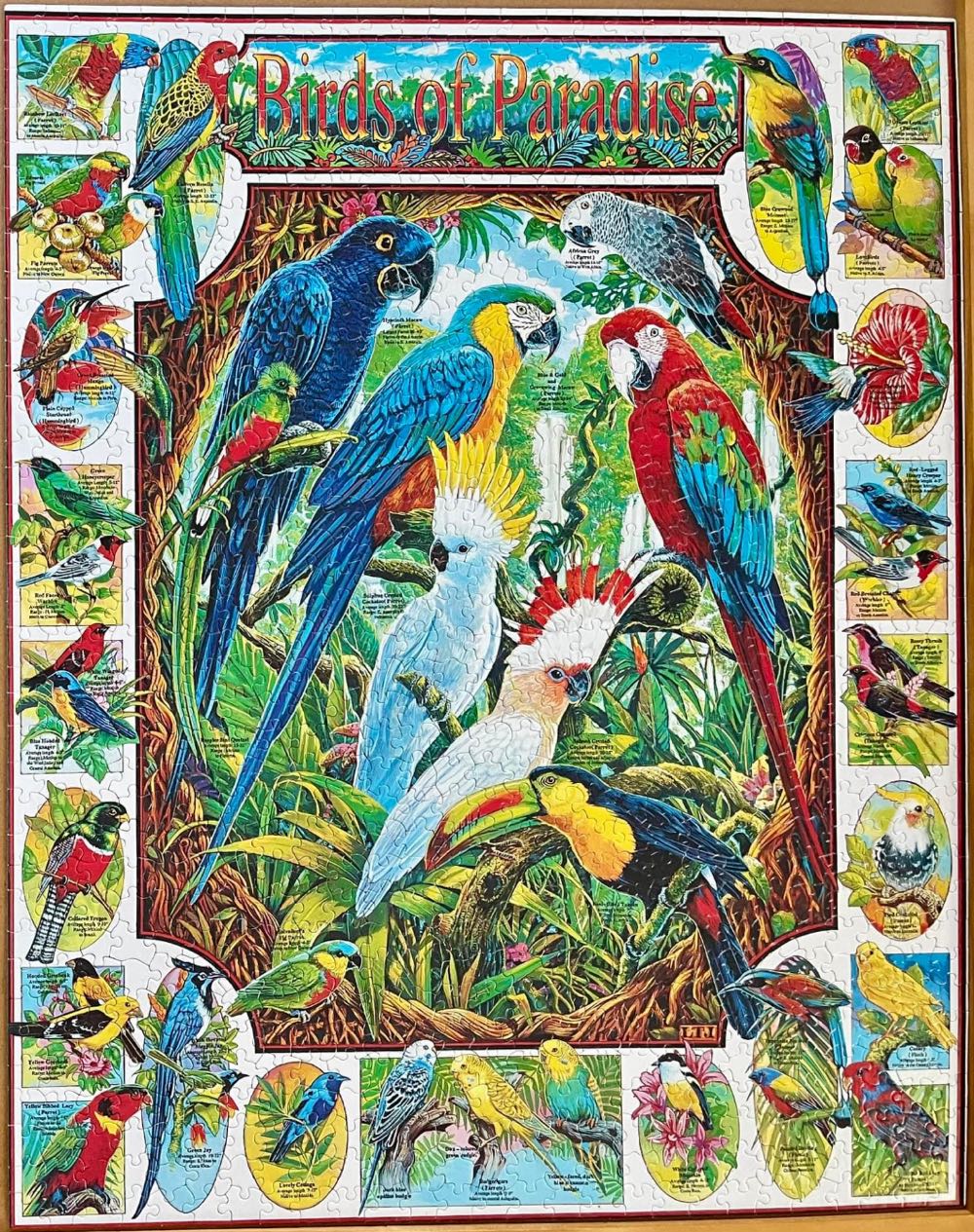 Birds Of Paradise - White Mountain Puzzles puzzle collectible [Barcode 724819247943] - Main Image 3