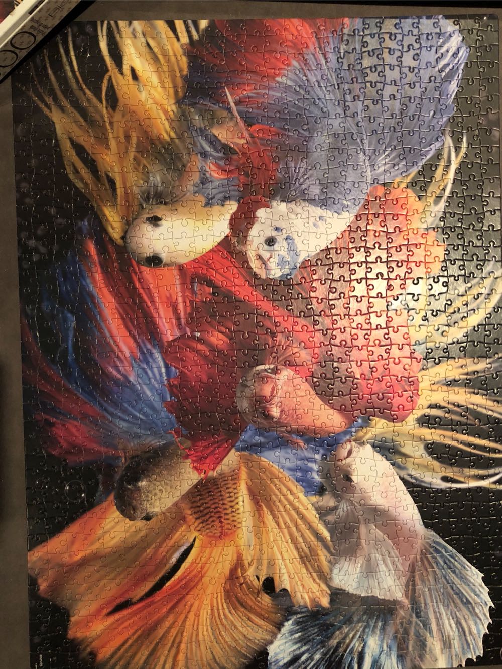 Fighting Fish - Big Ben puzzle collectible - Main Image 2