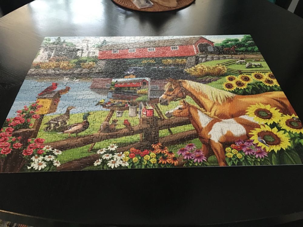 Critics’ Choice - SunsOut puzzle collectible [Barcode 796780630680] - Main Image 3