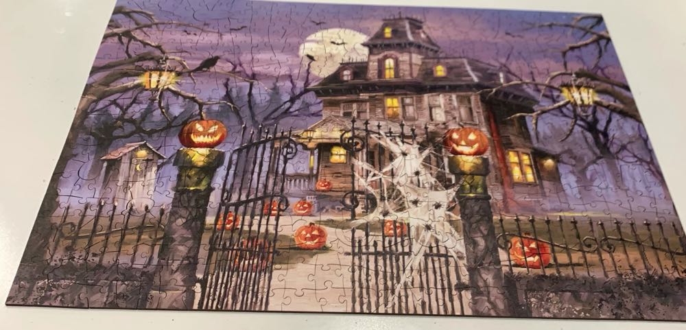 Flower Show: Optimism and Joy