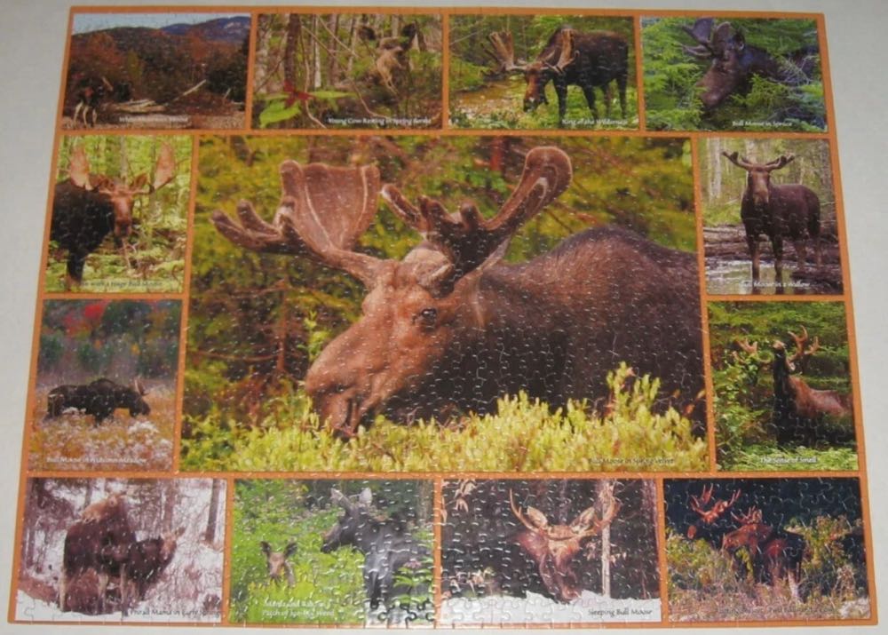 Gentle Giants - White Mountain puzzle collectible [Barcode 724819252053] - Main Image 3