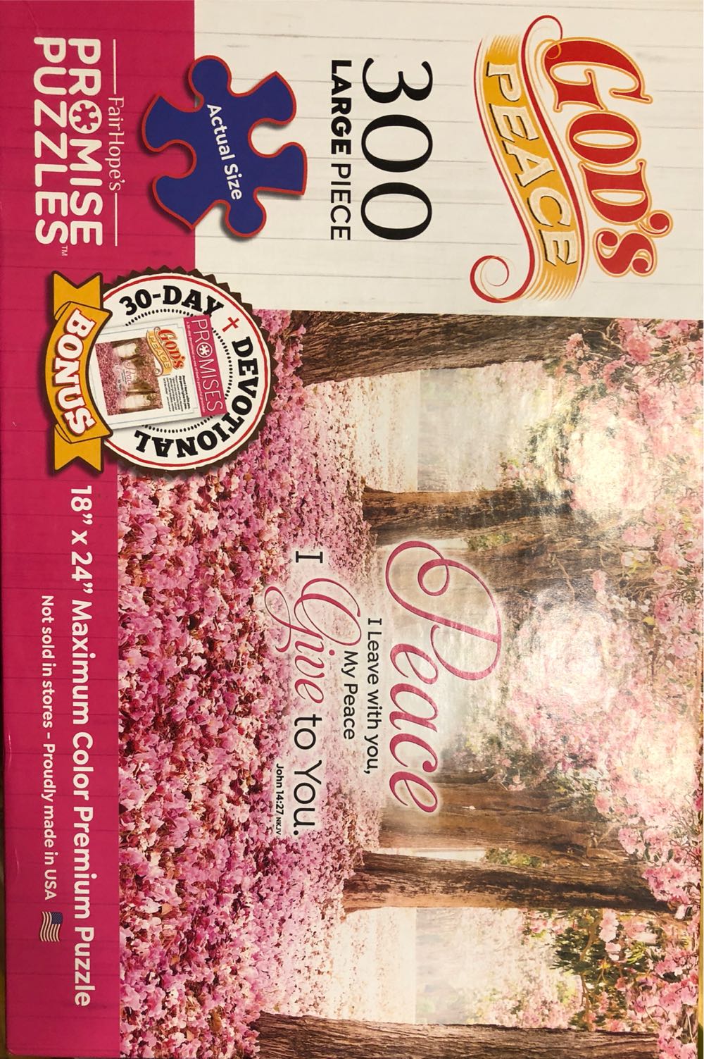 Mickey & Minnie Gallery