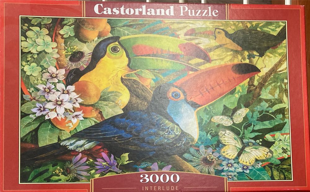 Butterfly Garden - JJ  🦋