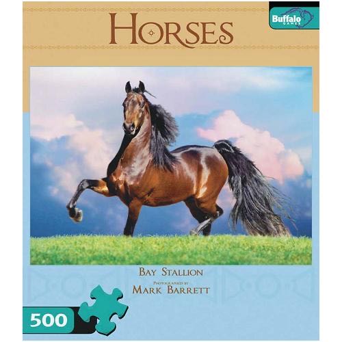 Mountain Rail Holiday