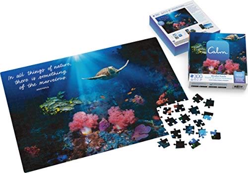 Calm Coral - Spin Master puzzle collectible [Barcode 778988393444] - Main Image 1