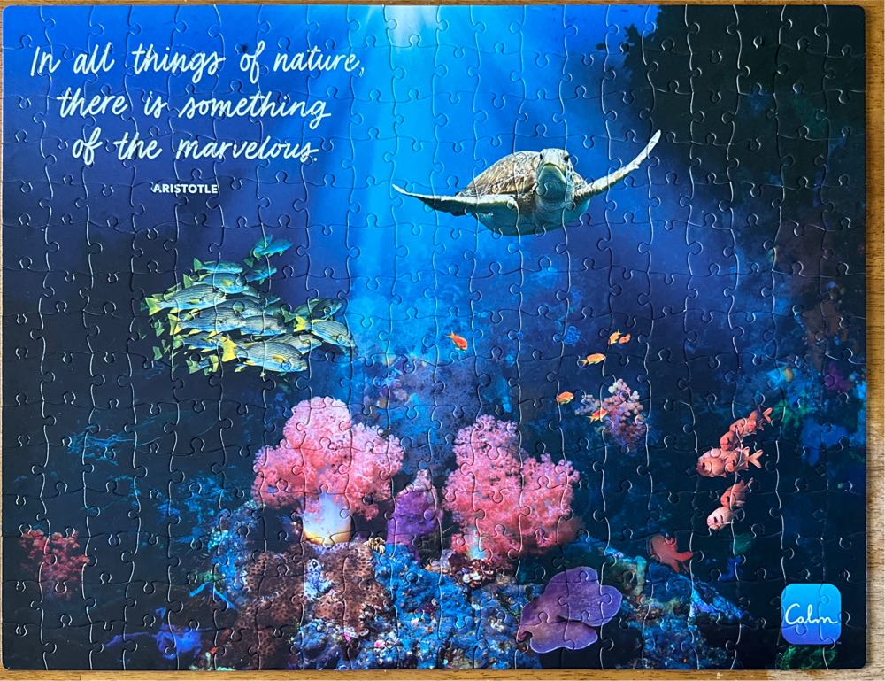 Calm Coral - Spin Master puzzle collectible [Barcode 778988393444] - Main Image 2