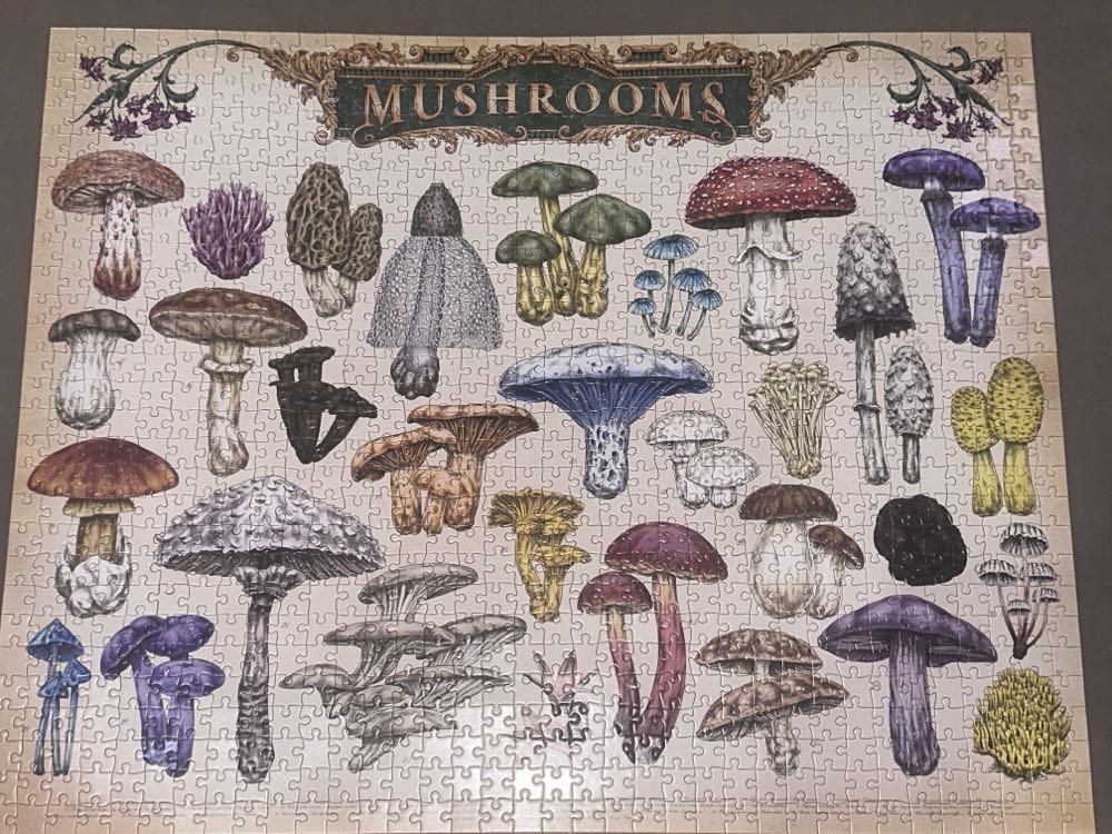 Mushrooms - Hinkler 🇦🇺 puzzle collectible [Barcode 9354537001926] - Main Image 3
