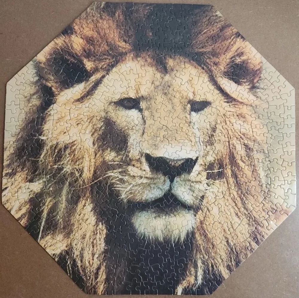 King of Beasts - Springbok puzzle collectible - Main Image 3