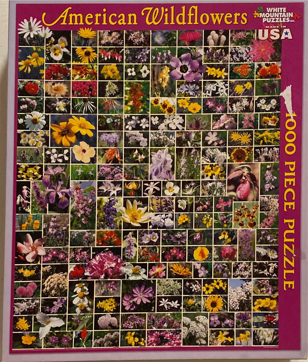 Château Usse, Indre-et-Loire, France 