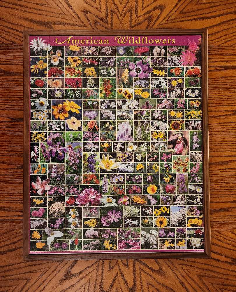 American Wildflowers - White Mountain Puzzles puzzle collectible [Barcode 724819248599] - Main Image 2
