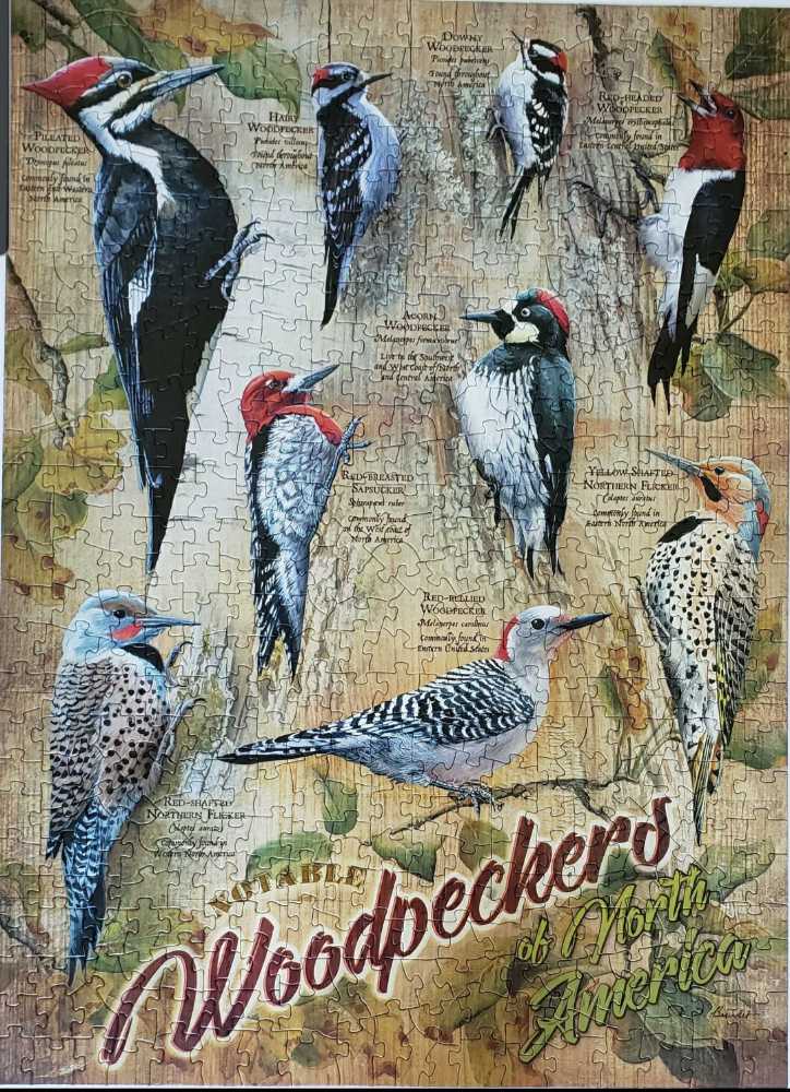 Notable Woodpeckers Of North America 🐦 - Cobble Hill Puzzle Company puzzle collectible [Barcode 625012850070] - Main Image 2