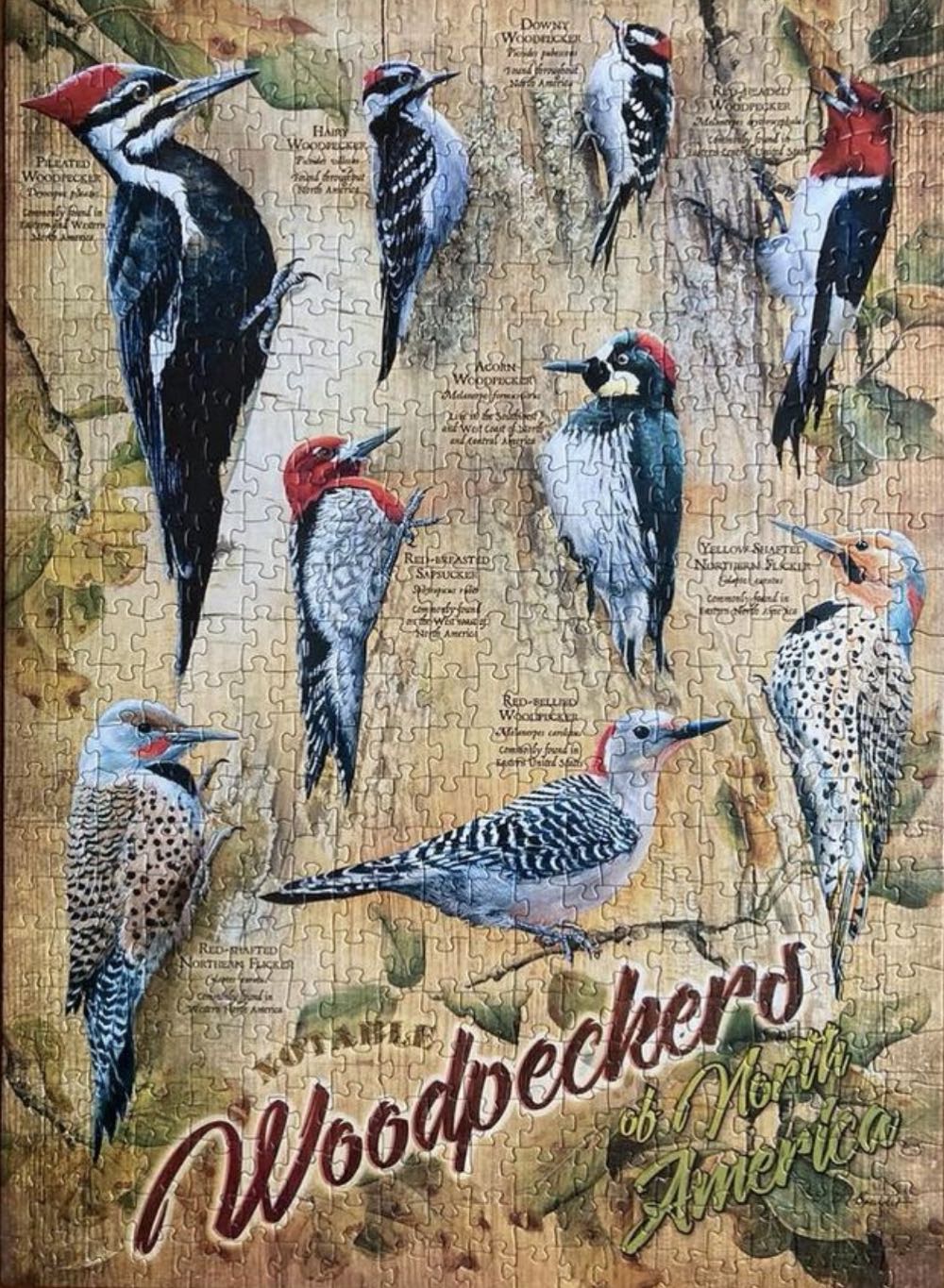 Notable Woodpeckers Of North America 🐦 - Cobble Hill Puzzle Company puzzle collectible [Barcode 625012850070] - Main Image 3