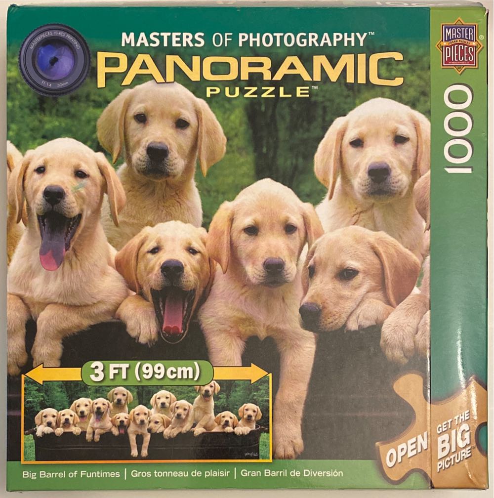 Magic Forest. Ciro Marchetti.