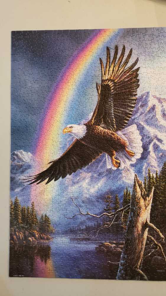 Eagle Of Promise 🟦 - SunsOut puzzle collectible [Barcode 796780284722] - Main Image 2