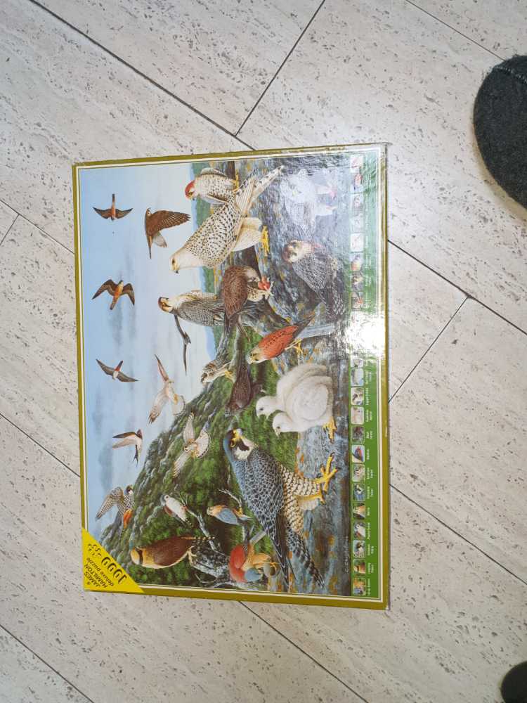 Image 37310