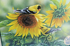 Old Ad Road Signs And License Plates