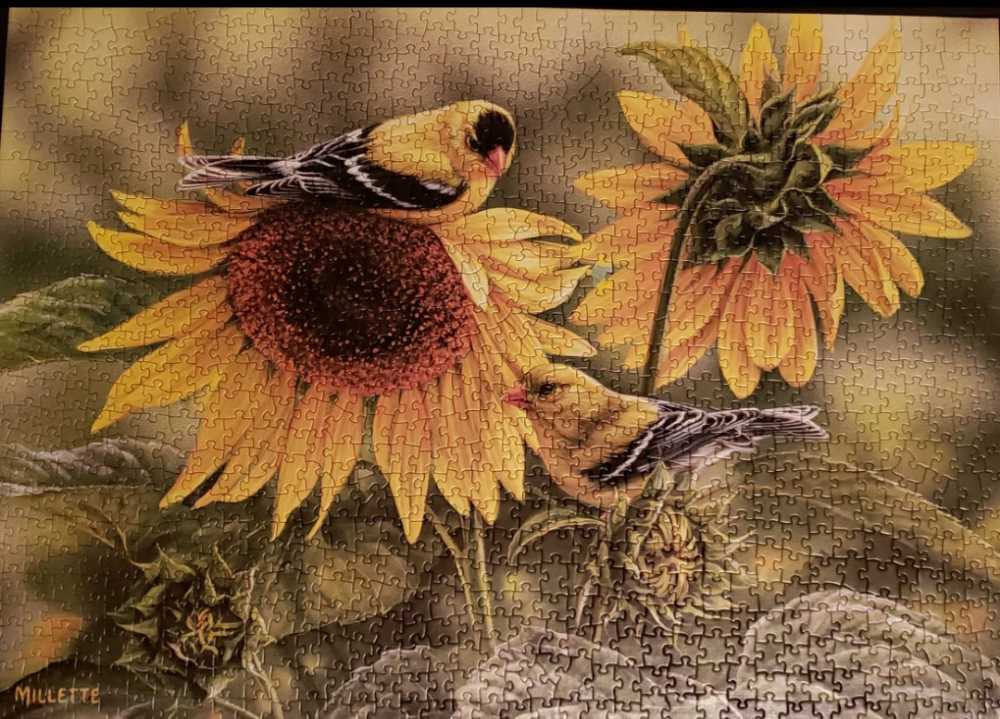 Sunflowers & Goldfinches - Cobble Hill puzzle collectible [Barcode 625012518185] - Main Image 2