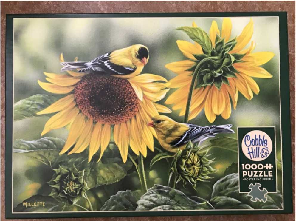 Sunflowers & Goldfinches - Cobble Hill puzzle collectible [Barcode 625012518185] - Main Image 3