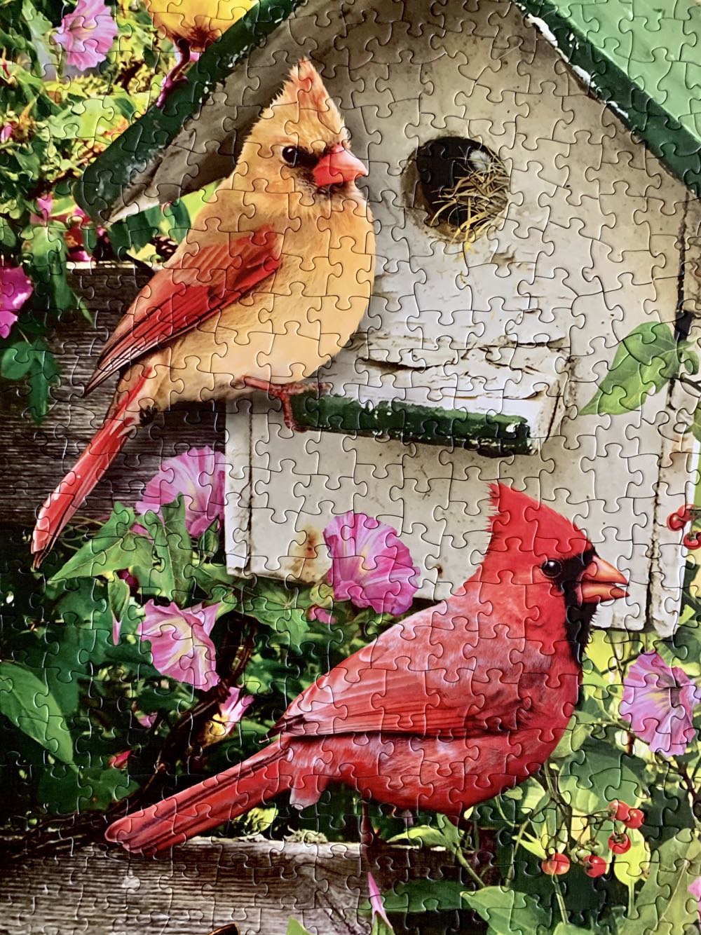 Summer Birdhouse - Cobble Hill puzzle collectible [Barcode 625012801263] - Main Image 3