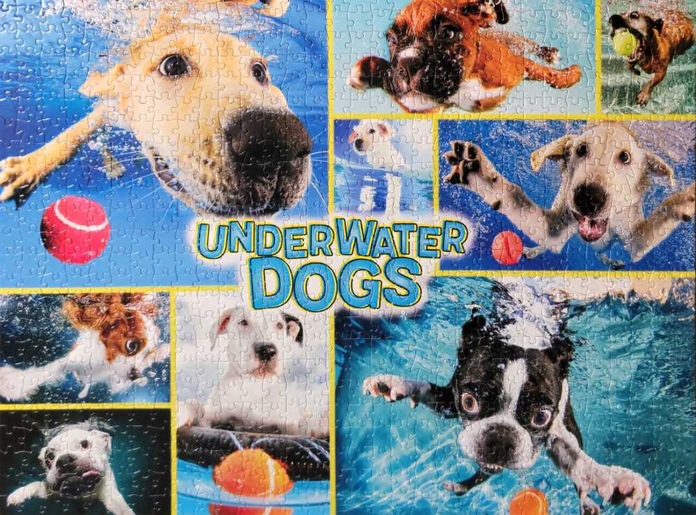 Underwater Dogs - Buffalo Games puzzle collectible [Barcode 7934699761] - Main Image 2