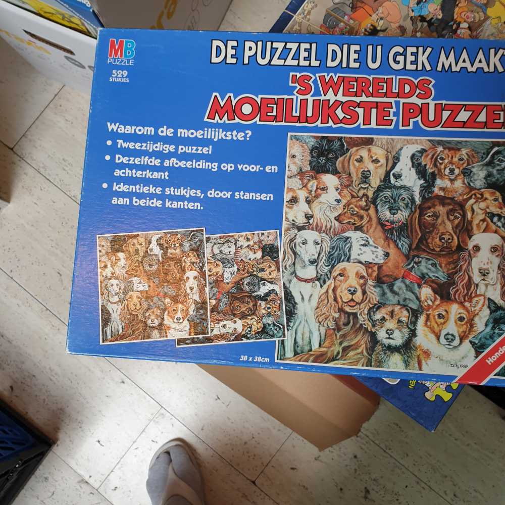 Bow Bridge Central Park