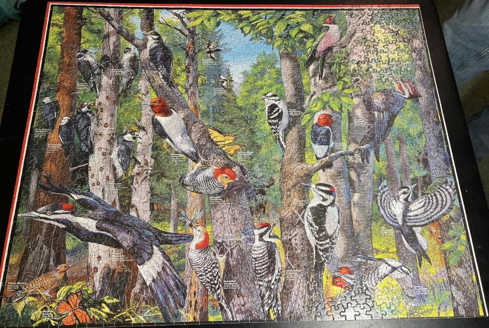 Woodpeckers*- 553, 2/6/24-SOLD - White Mountain Puzzles puzzle collectible [Barcode 724819249763] - Main Image 2