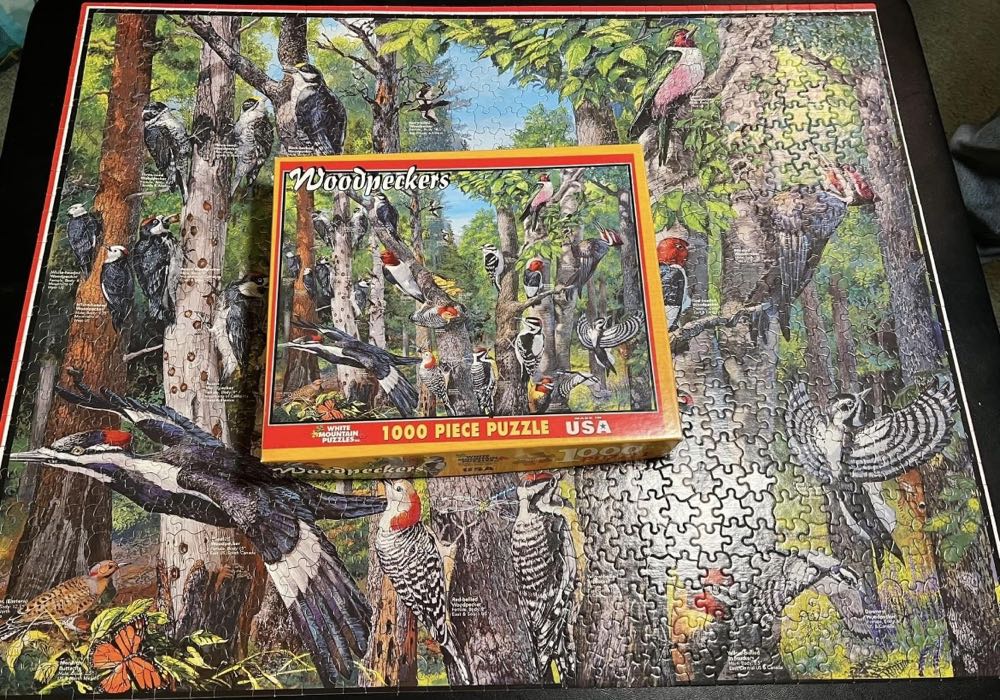 Woodpeckers*- 553, 2/6/24-SOLD - White Mountain Puzzles puzzle collectible [Barcode 724819249763] - Main Image 3