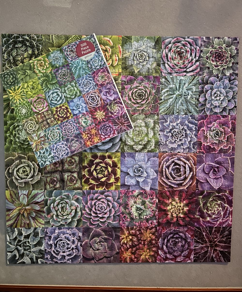 Succulent Spectrum - Galison puzzle collectible [Barcode 9780735363427] - Main Image 3