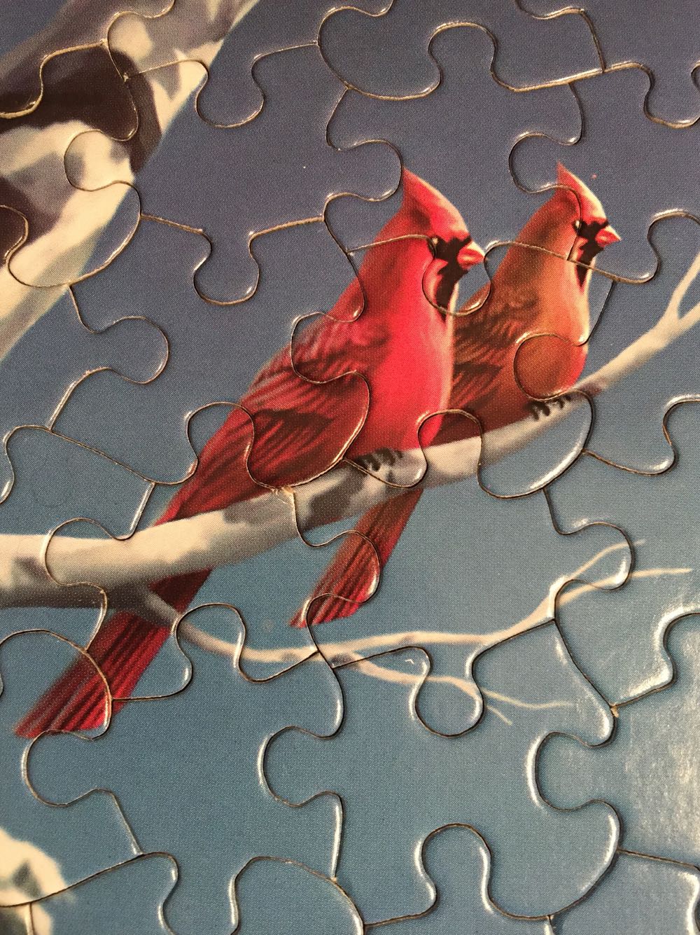 Shining Brightly* - White Mountain Puzzles puzzle collectible [Barcode 724819249015] - Main Image 4