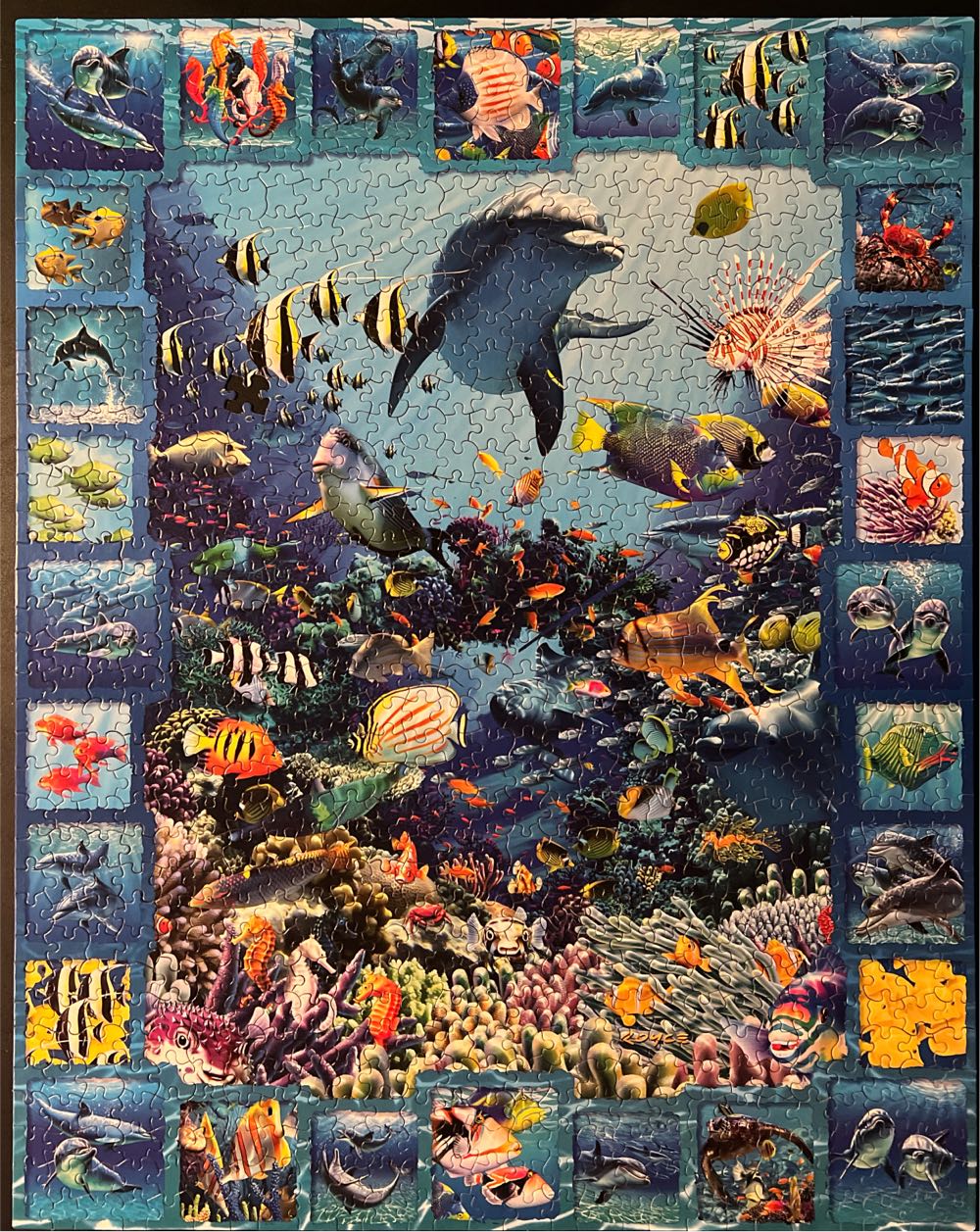 Dolphin Kingdom-TRADED - White Mountain Puzzles puzzle collectible [Barcode 724819252343] - Main Image 2