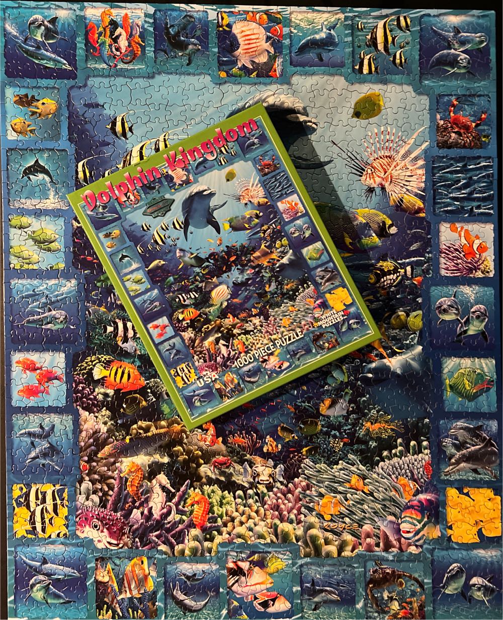 Dolphin Kingdom-TRADED - White Mountain Puzzles puzzle collectible [Barcode 724819252343] - Main Image 4
