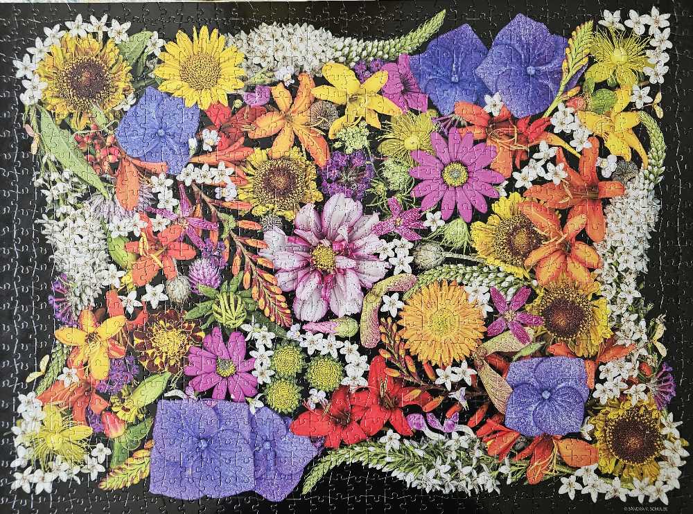 Posy Patch - Buffalo puzzle collectible [Barcode 079346119837] - Main Image 2