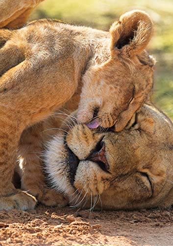 Chaos On Halloween Piece Jigsaw Puzzles