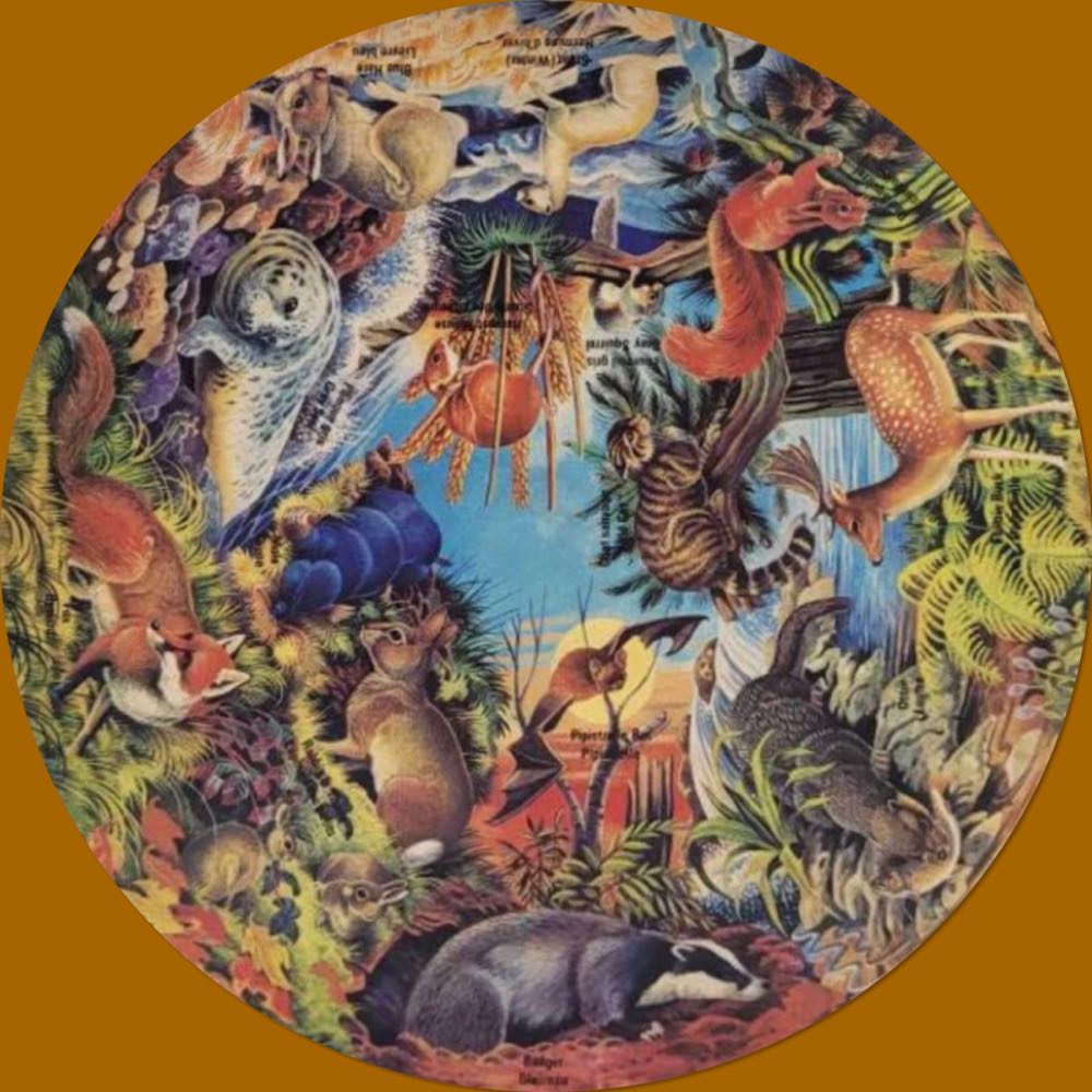 Waddingtons Mammals - Waddington puzzle collectible - Main Image 2