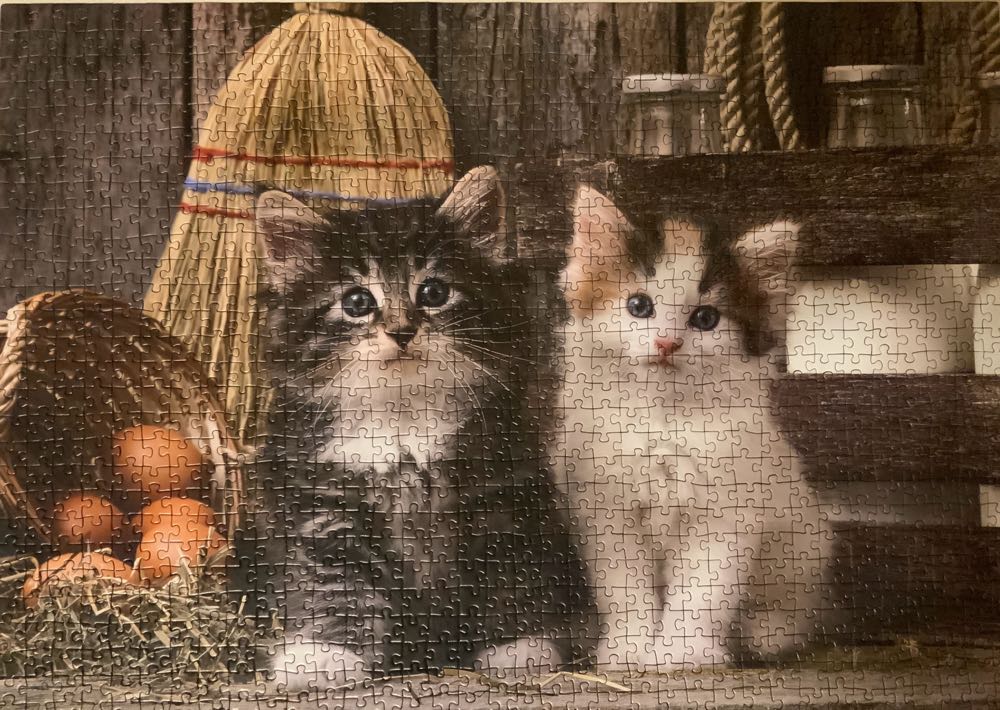 Lovely Kittens - Clementoni puzzle collectible [Barcode 8005125393404] - Main Image 2