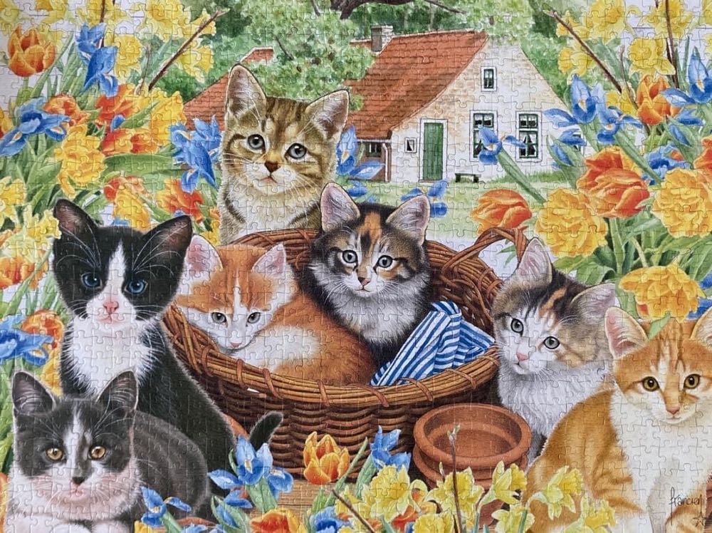 Francien Farm Cats - Jumbo puzzle collectible [Barcode 8710126818978] - Main Image 3