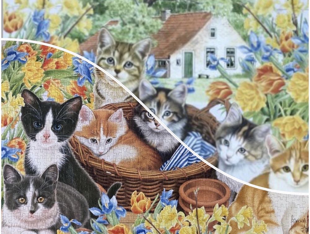 Francien Farm Cats - Jumbo puzzle collectible [Barcode 8710126818978] - Main Image 4