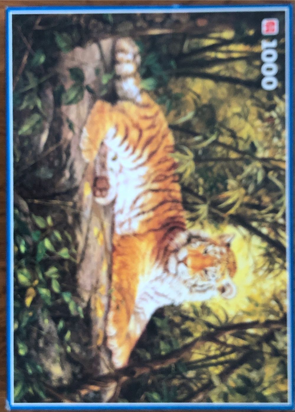 Jungle tijgers/ Tiger Family At The Waterhole