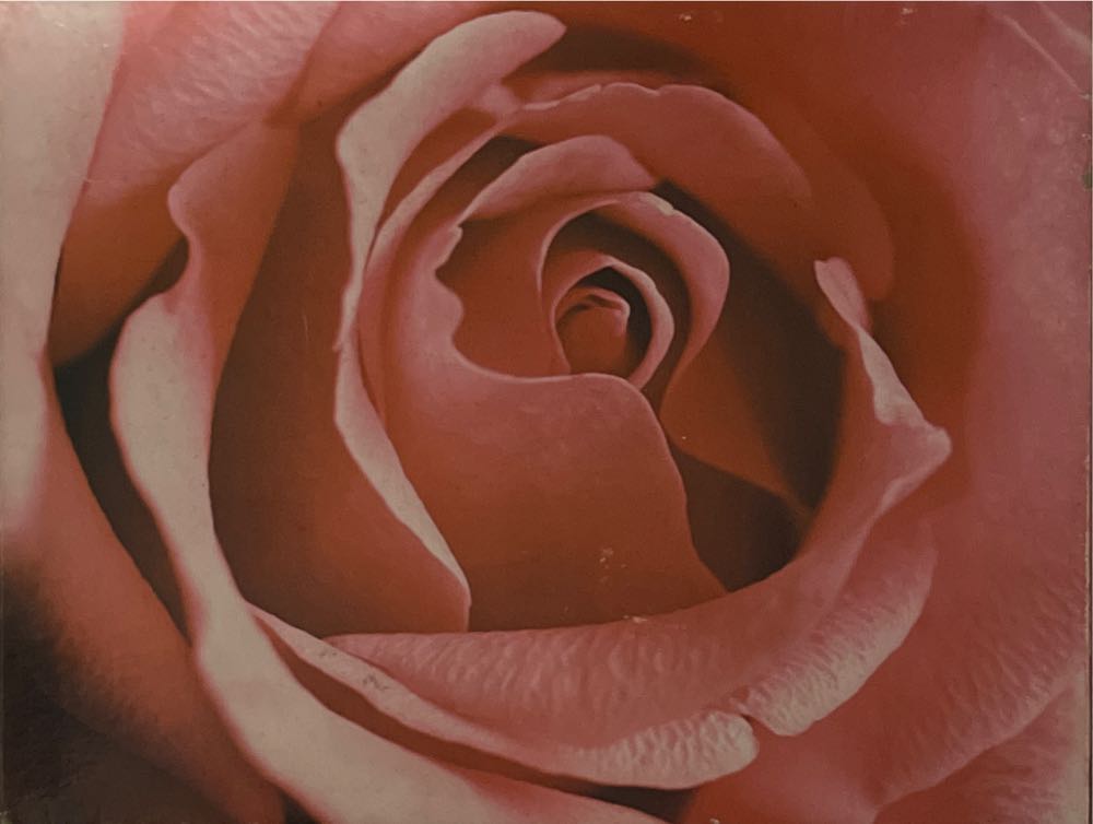 Playing Hookey at the Mill (UV) 🧩