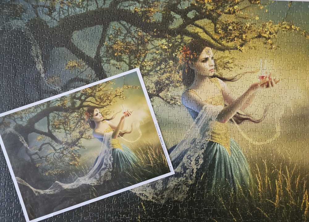 CH Rapture - Cobble Hill puzzle collectible [Barcode 625012801768] - Main Image 3