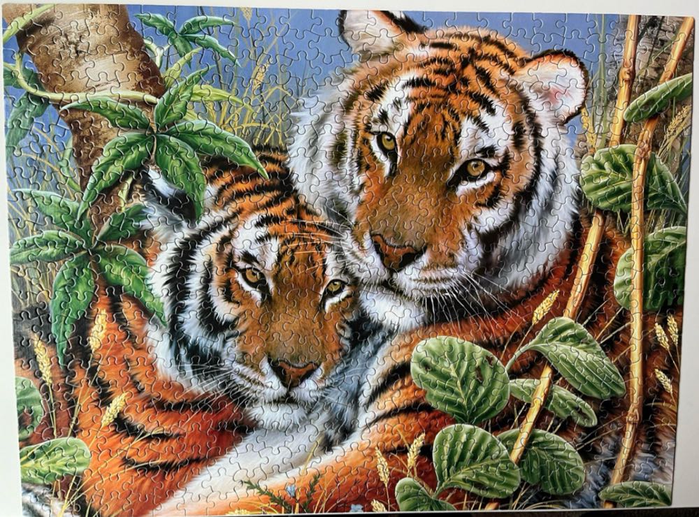 Tiger Tiger-DR - White Mountain Puzzles puzzle collectible [Barcode 724819251575] - Main Image 2