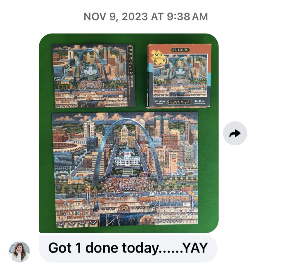 St Louis Adam Fishman VC  - Dowdle Folk Art 🇺🇸 puzzle collectible [Barcode 671095001762] - Main Image 3