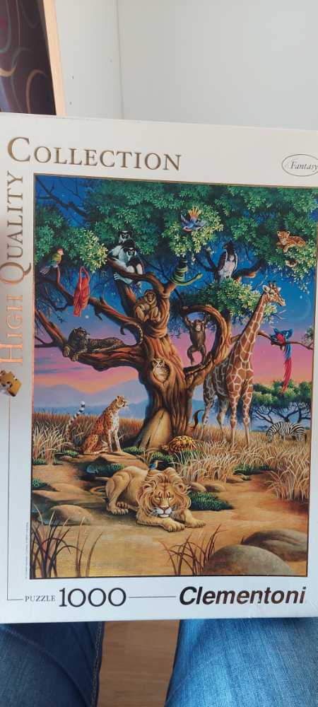 Animals In The Atrium