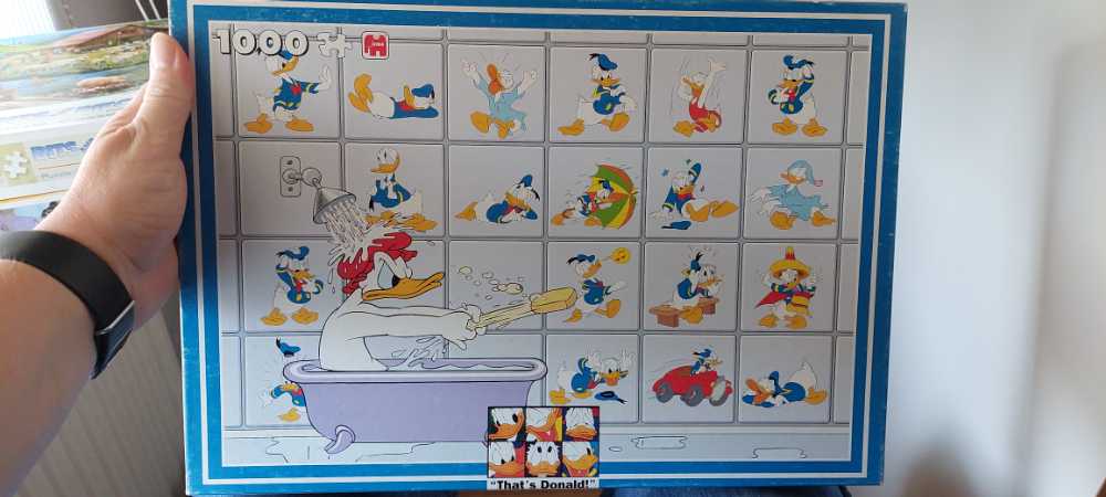 Buffalo Games Majestic Castles Enchanted Frame 750 Piece Jigsaw Puzzle