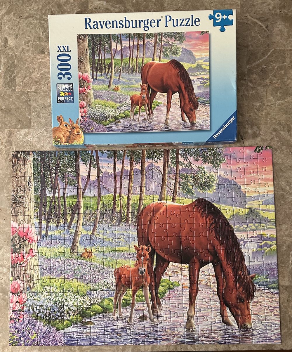 Serene Sunset - Ravensburger puzzle collectible [Barcode 4005556132423] - Main Image 2